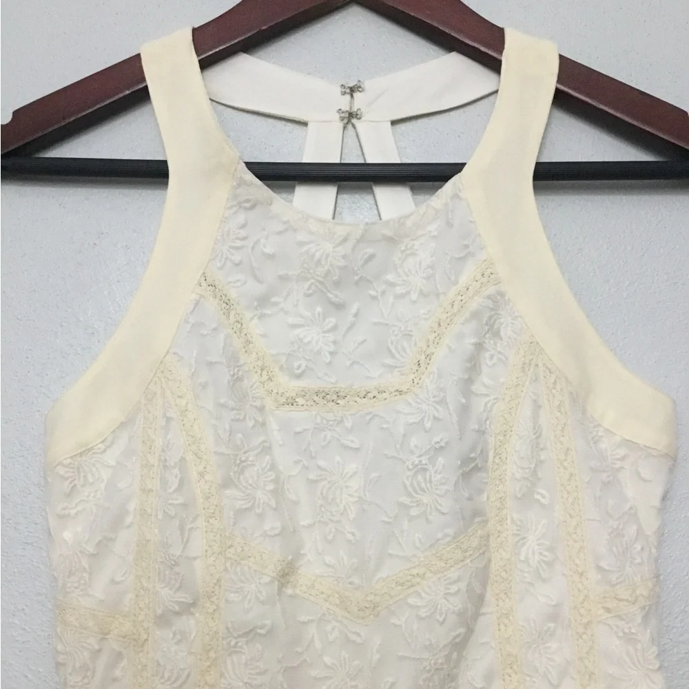 American Eagle Ivory Lace Sheer Lined Dress - Picture 3 of 7